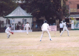 cricket match in action