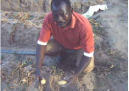gambia soil