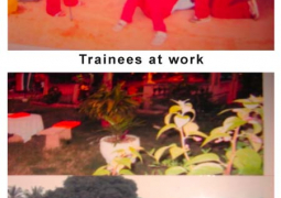 trainees at work 