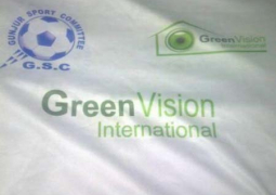 green vision international