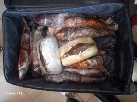 Senegalese arrested with 14 parcels of cocaine at airport