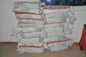 2 nabbed with 104 suspected blocks of cocaine