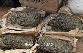 Covid-19 & illegal drug use: Gambia seizes 2 tonnes of cannabis Sativa