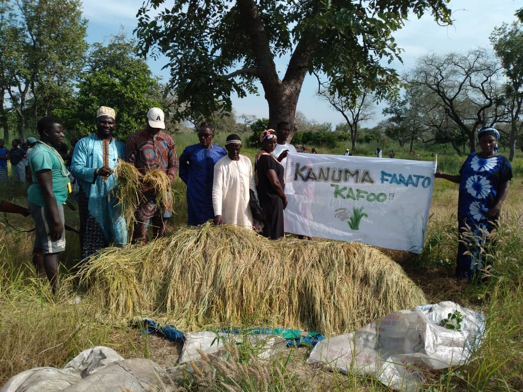 35-hectare rice field project for Kanuma village