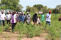 SRPEP pastoral gardens to improve rural livelihoods