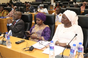 ACDHRS’s NGO Forum ends on a high note
