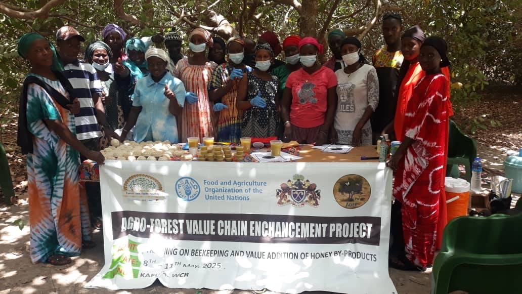 AGFP trains community forest managers on beekeeping in WCR