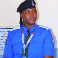 Acting police PRO v2