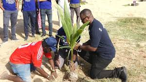 Africell to plant 25,000 trees to curb climate change
