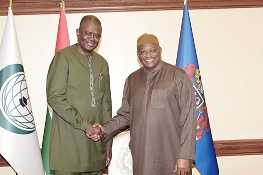 Africmed CEO meets Barrow for stronger health sector