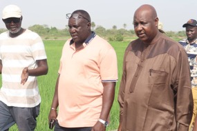 Agric. minister tours projects in CRR
