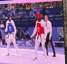 Alasan Ann loses to Ivan Sapina in Olympics fight