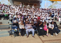 Alliance Francaise v2