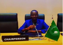 Age-Almusaf Sowe takes helm as regional coordinator of IAAAS-PDI
