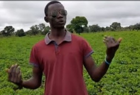 Farmers predict ‘poor groundnut harvest ’