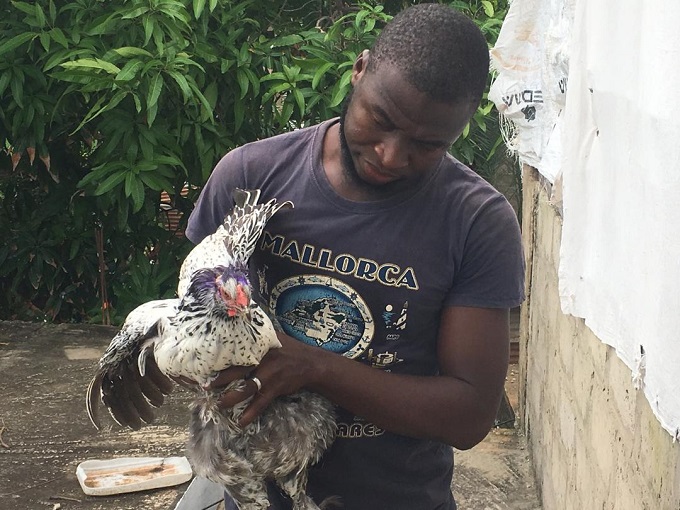 From backway, back home: Making it in Gambia