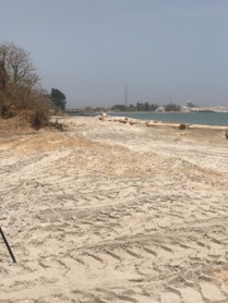 SMJ Investment nourishes Banjul beach