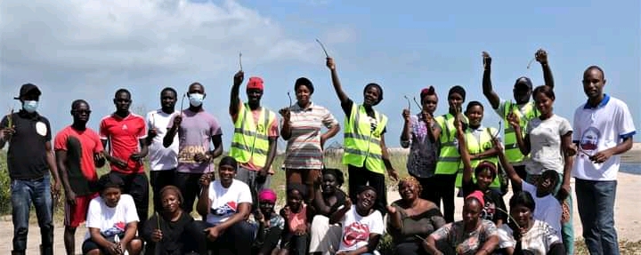 Banjul plants 500 mangroves, targeting 5K