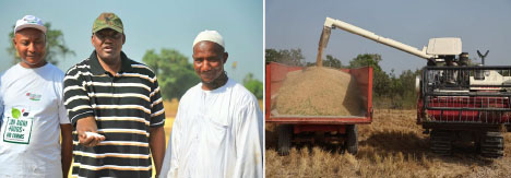 Barrow hails partnership as Jah Oil set to sell homegrown rice