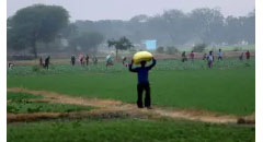 Barrow discloses   over US$175M agric investment plan