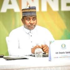 NA to hold extraordinary session on sale of Jammeh’s assets