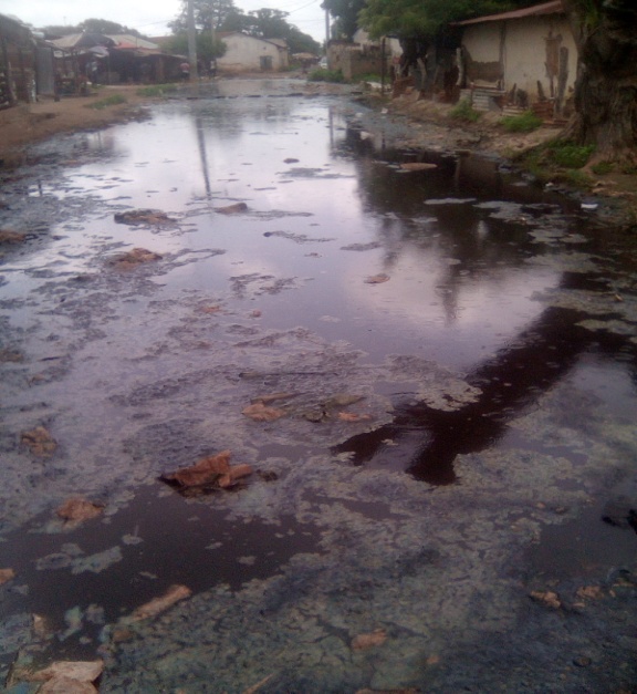 Brikama residents resent stagnant water, filth