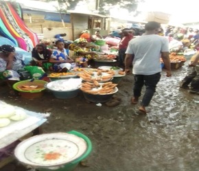 Gov’t urged to address unhygienic conditions at Brikama market
