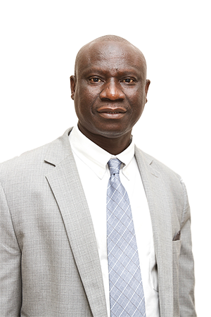 Food price continues to decrease - Governor Saidy