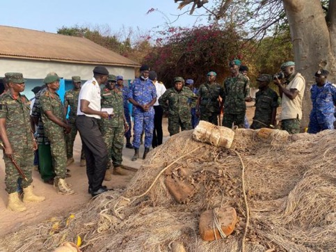 We will jealously safeguard our waters, deter irregular migration - CDS  