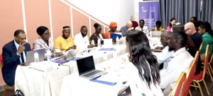 Int’l IDEA, partners hold inaugural Steering Committee meeting for CODE Project