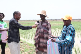 'Barrow committed to addressing challenges facing rice sub sector'