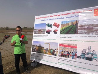 China-Aid project on course to attaining zero hunger in Gambia