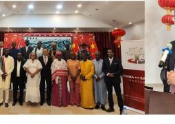 China Gambia dialogue