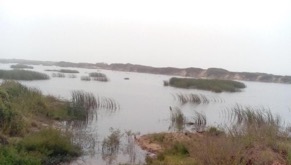 Special report: SMJ Company to reclaim 16km Kombo Coast land destroyed by sand mining