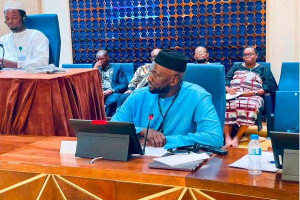 Gambia reaffirms commitment to supporting Youth Connekt Sahel