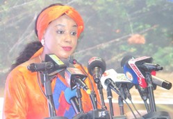 Media practitioners must champion their own professional standards — PS Jabang