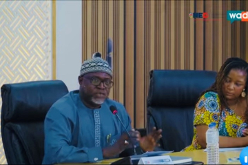 D160M Constitution thrown away with birth water – Counsel Camara
