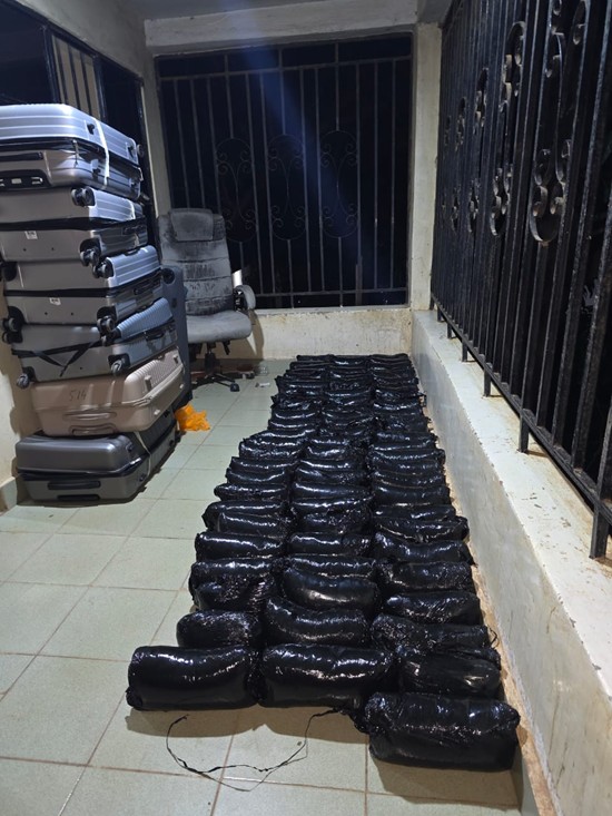 DLEAG dismantles Holland-linked drug syndicate, seizes 400,000 ecstasy pills worth D40M