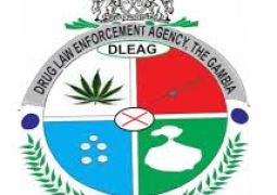 DLEAG logo