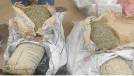 DLEAG dismisses officer arrested with 4 suspected bags of cannabis