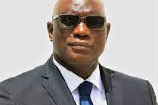 Gambia named non-permanent co-chair of Global Alliance for the Missing
