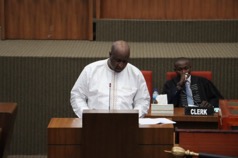 Gambia may be self-sufficient in rice production by 2025/26  – Agric minister