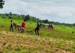 Disbursement of fertilizer