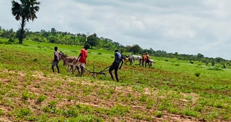 Farmers call for timely disbursement of fertilizer