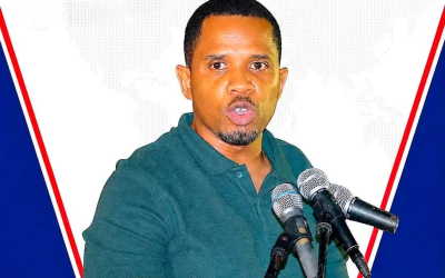Dr Ceesay calls UDP support ‘dwindling’ despite improved statistics