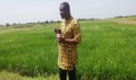 NARI lauds KAFACI rice varieties support to Gambia