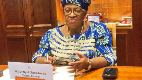 WTO DG urges Africa to remove administrative obstacles to attracts investors
