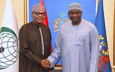 IDEAS briefs Barrow on election peace efforts