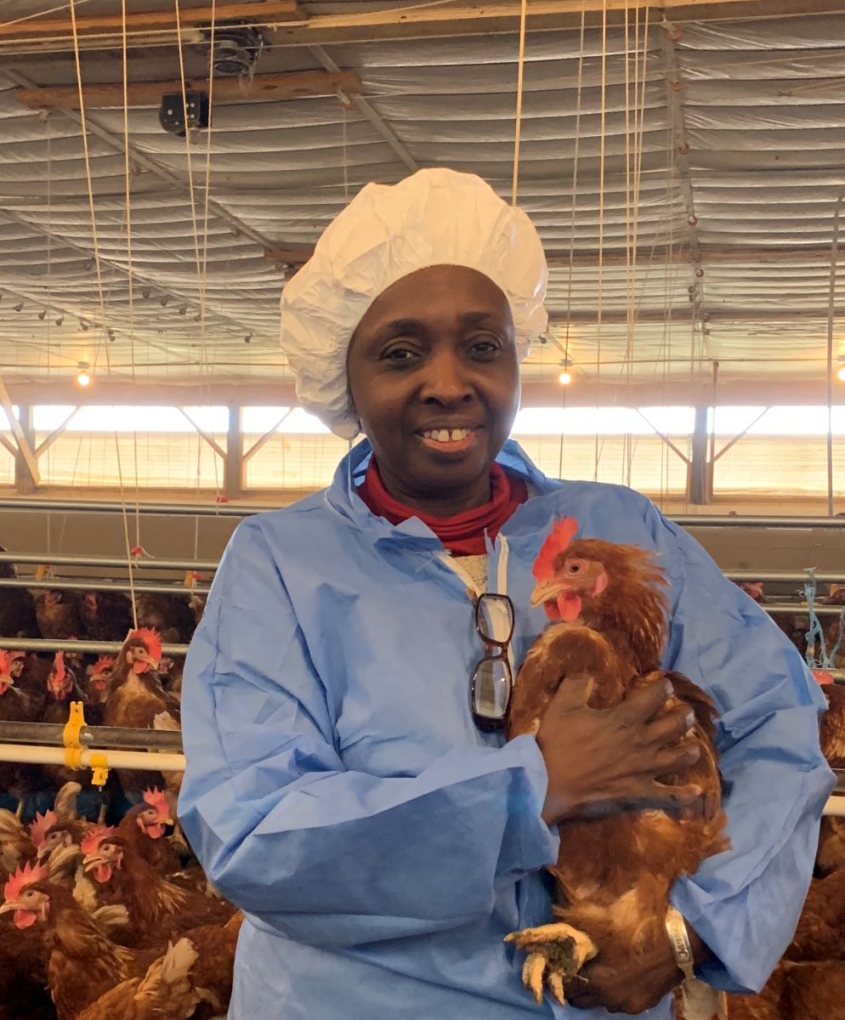 Gambian avian expert awarded highest alumni honor at Cornell's Vet College 