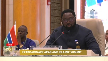 Dr. Tangara addresses Arab–Islamic Follow-up Summit
